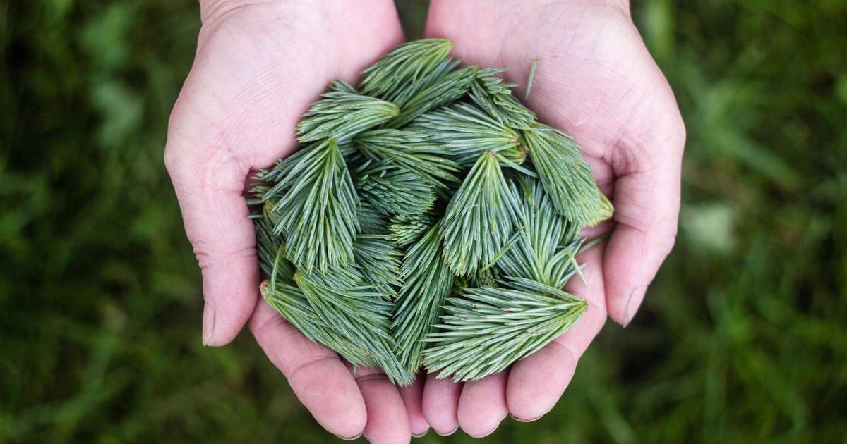 What is Legalist? - Company Overview & Details