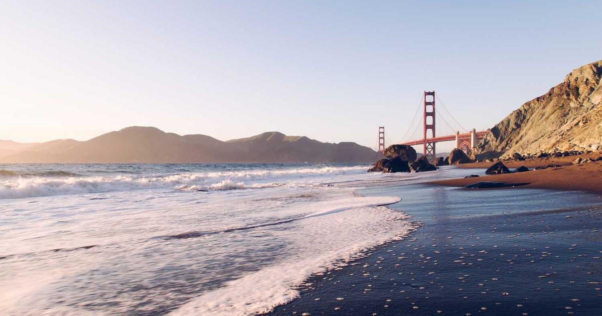 What is Levo? - Company Overview & Details