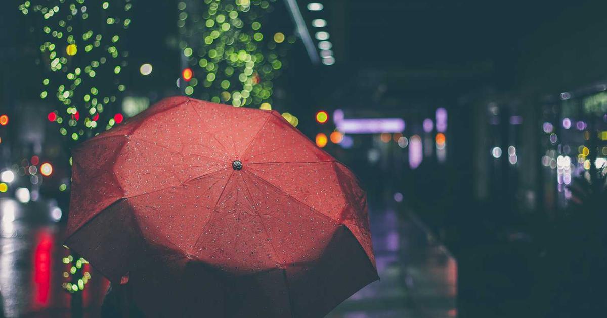 What is LightTwist? - Company Overview & Details