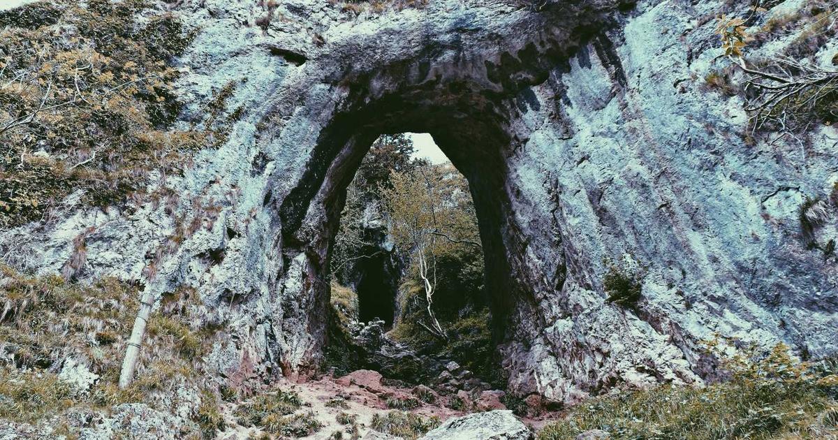 What is Littio? - Company Overview & Details