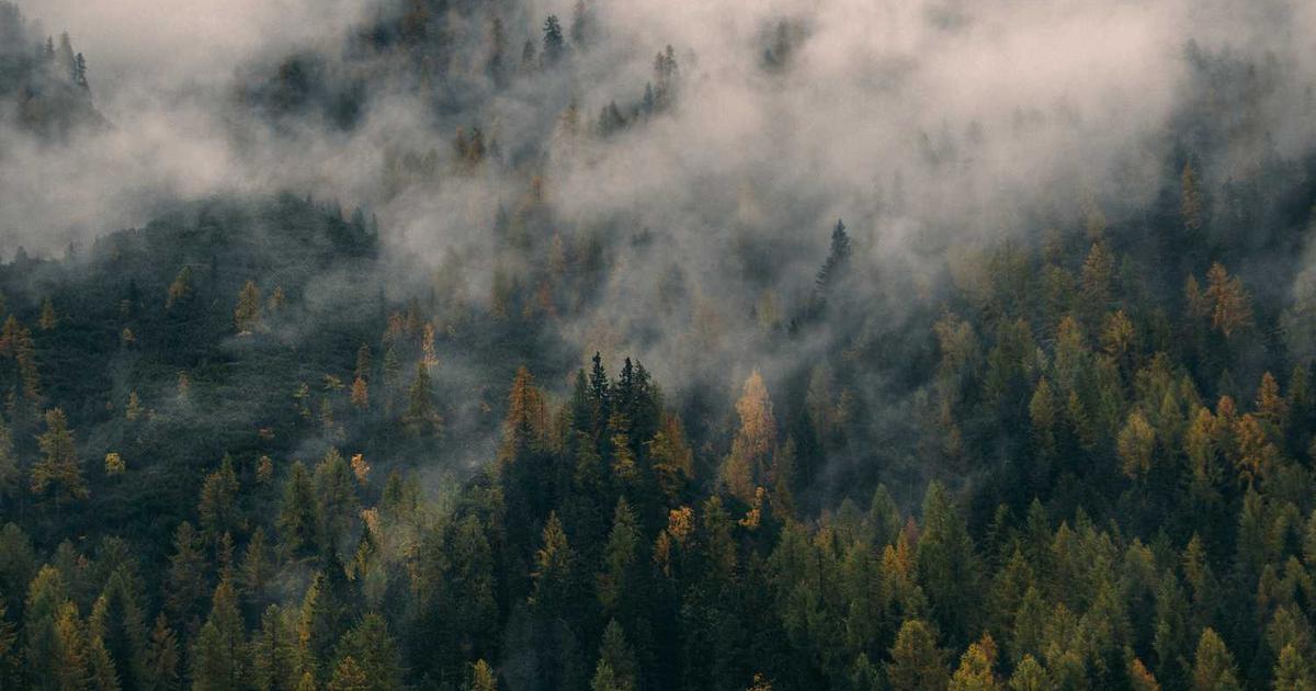 What is Lobby? - Company Overview & Details