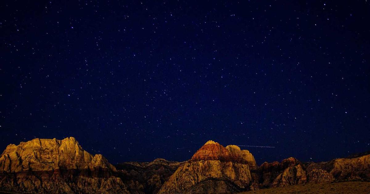 What is Lume? Company Overview & Details