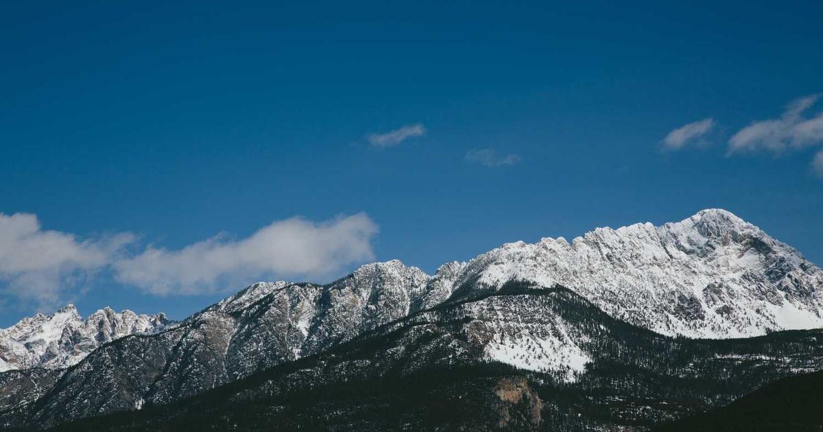 What is Menten AI? - Company Overview & Details