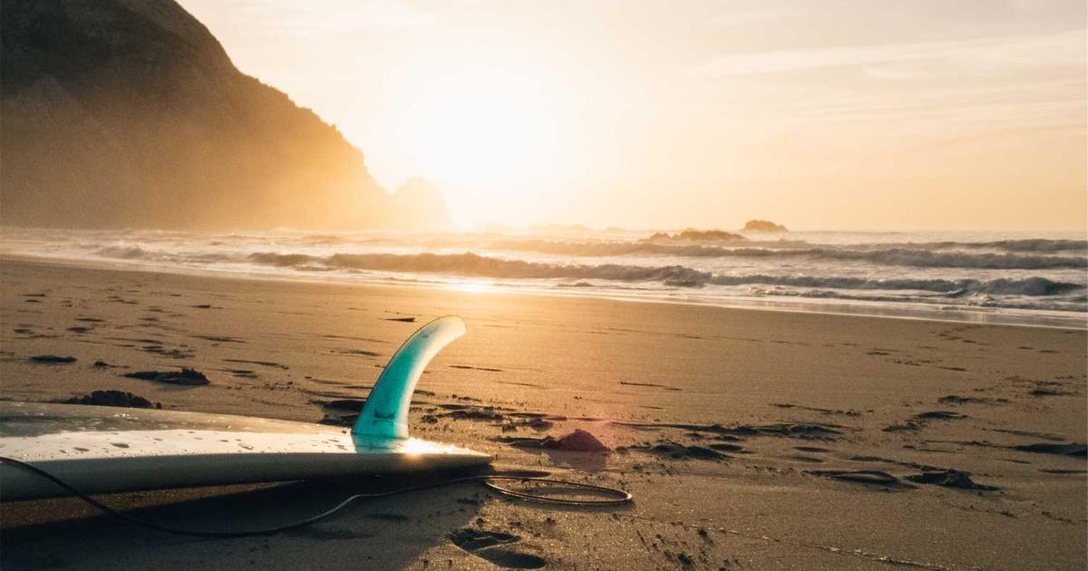 What is Metamanagement? Company Overview & Key Insights