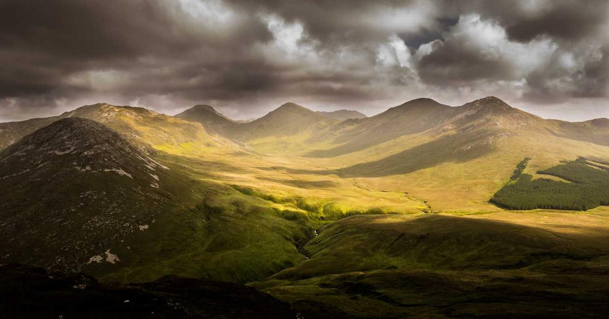 What is Middesk? - Company Overview & Details