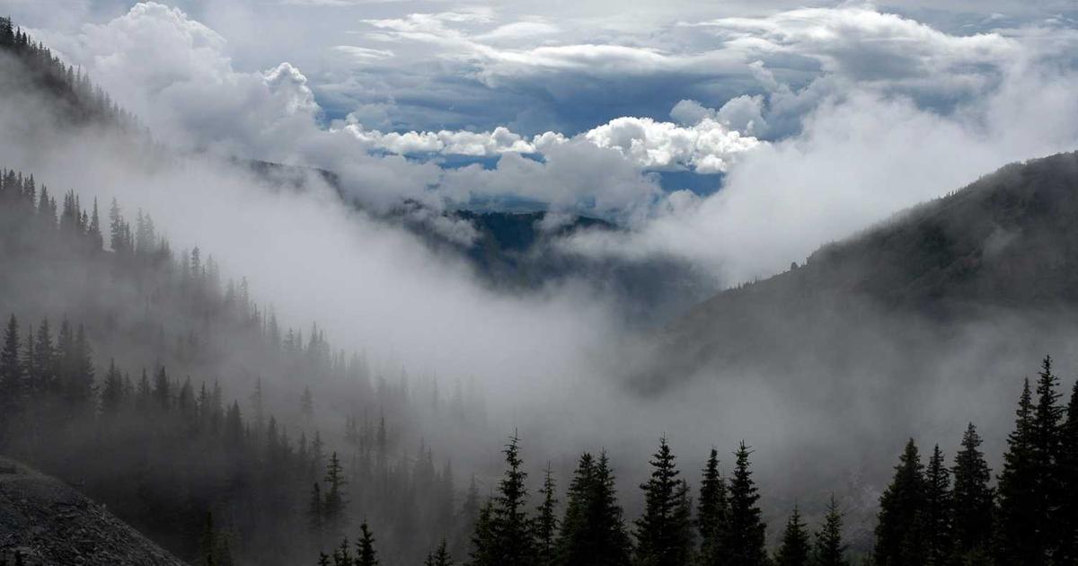 What is Moichor? - Company Overview & Details