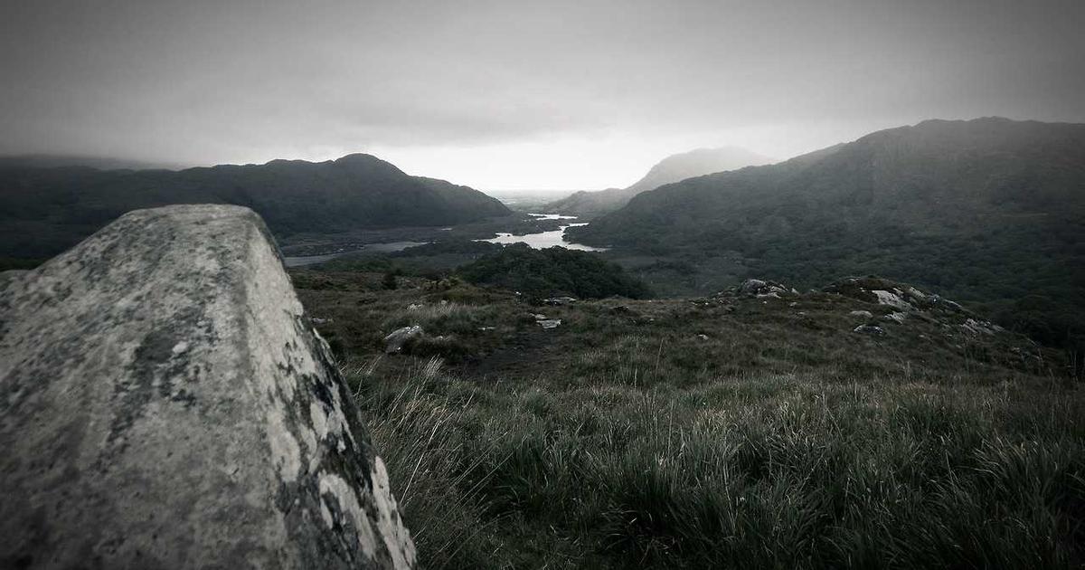 What is Monosi? - Company Overview & Details