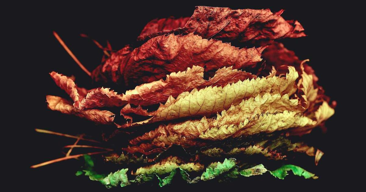 What is Mosaix.ai? - Company Overview & Details