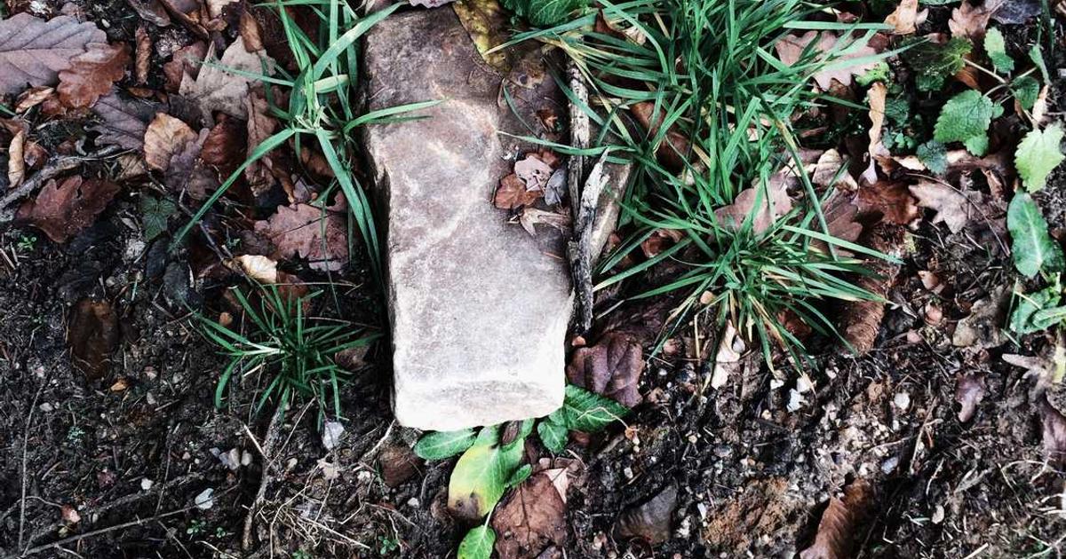 What is Mux? - Company Overview & Details