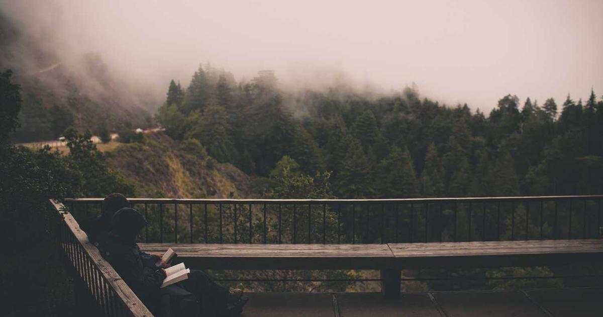 What is Nephrogen? - Company Overview & Details