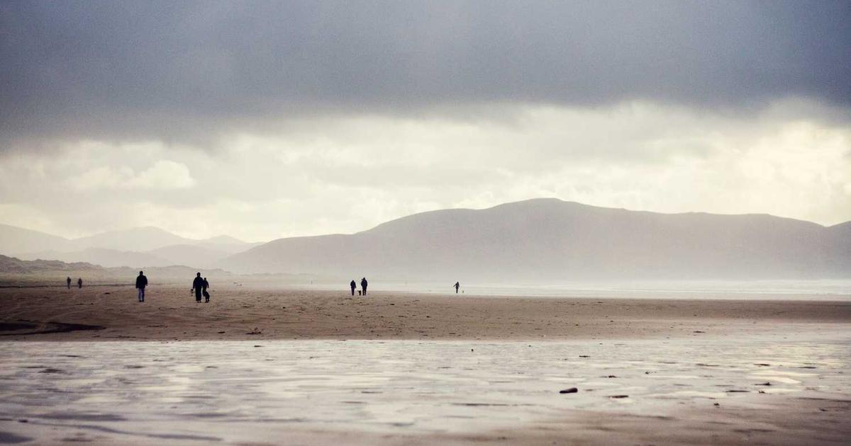 What is Netomi? - Company Overview & Details