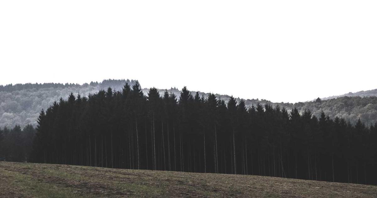 What is ngrow.ai (YC W22)? - Company Overview & Details