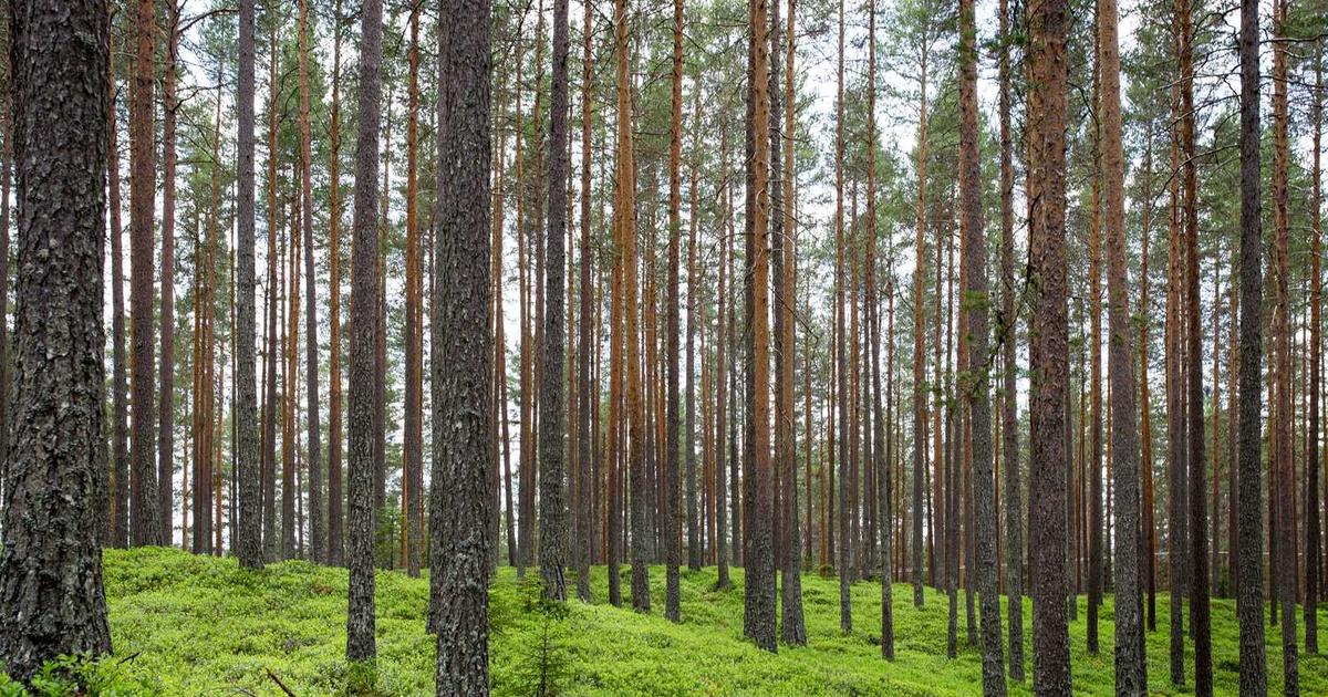 What is Nourish? An In-Depth Company Overview & Key Details