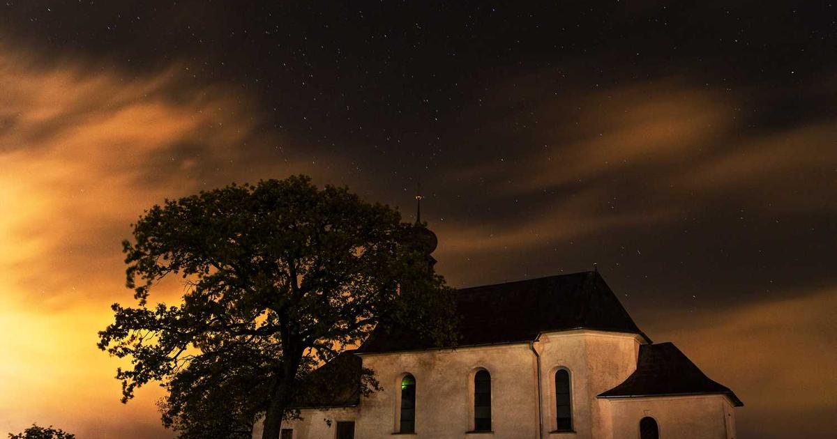 What is Nourish? - Company Overview & Details