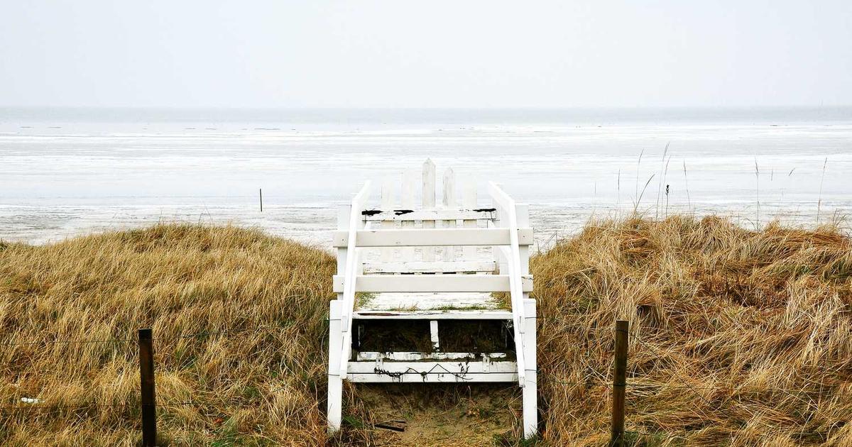 What is ODA? - Company Overview & Details