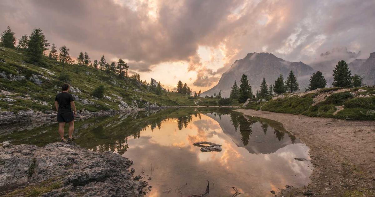 What is Ohmic Biosciences (YC S23)? - Company Overview & Details