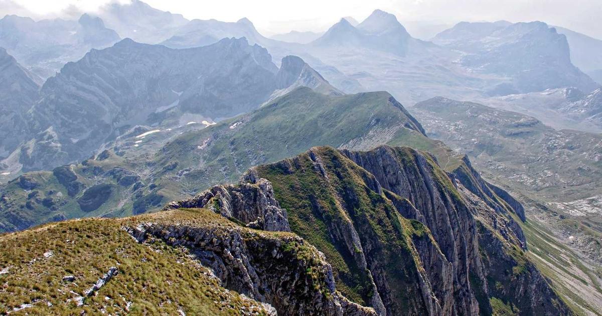 What is Olympian Motors? - Company Overview & Details