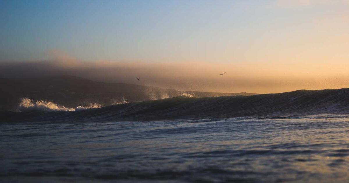 What is OpenAI? - Company Overview & Details