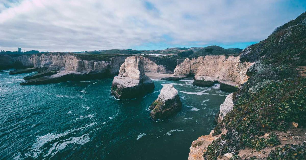 What is Petcube? Company Overview & Details