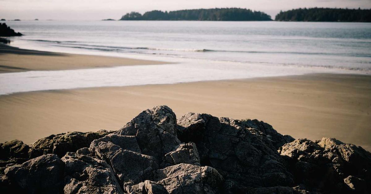 What is Phoenix? - Company Overview & Details