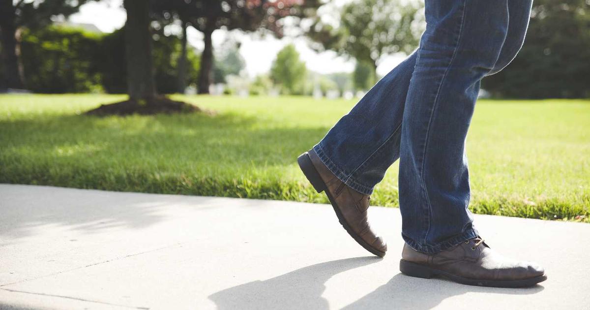 What is Pigeon? - Company Overview & Details