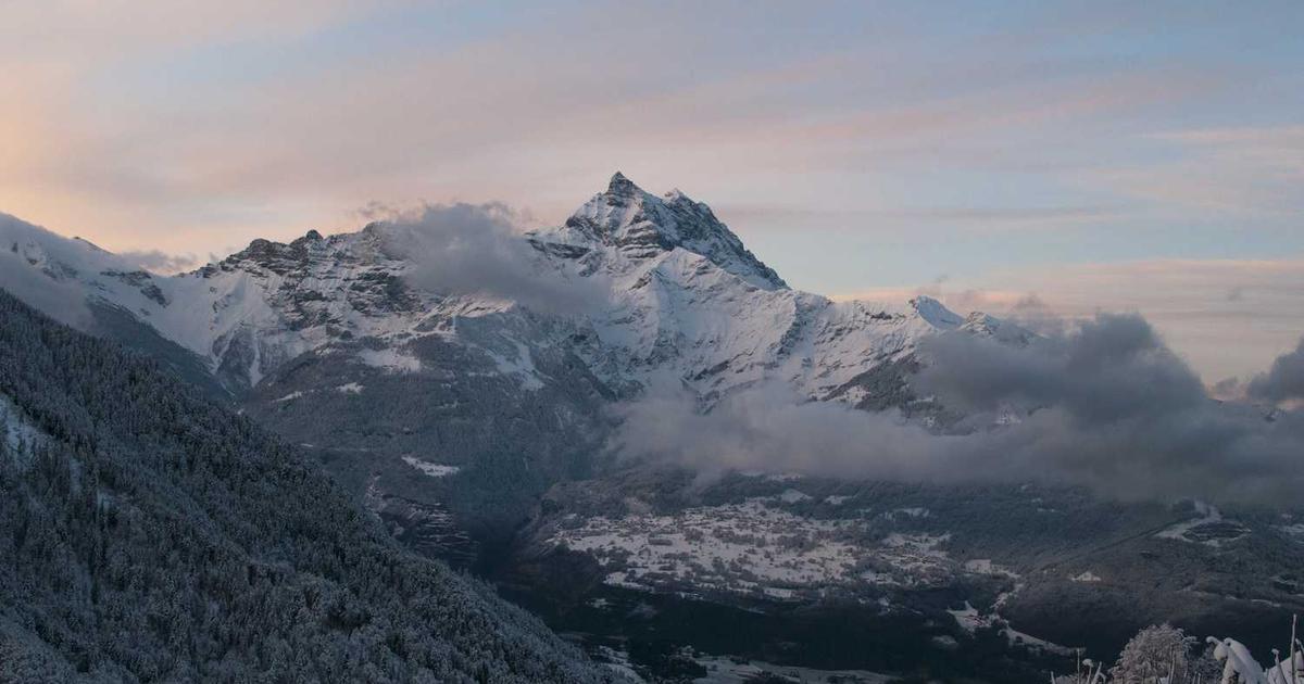 What is PiinPoint? - Company Overview & Details