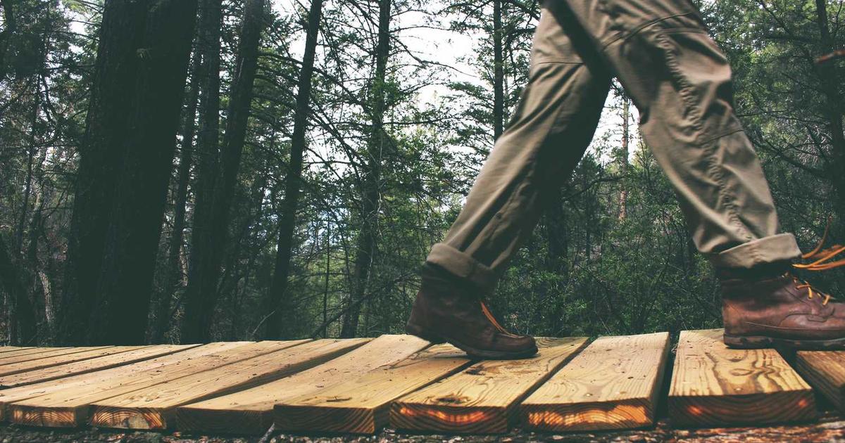 What is PillarPlus? - Company Overview & Details