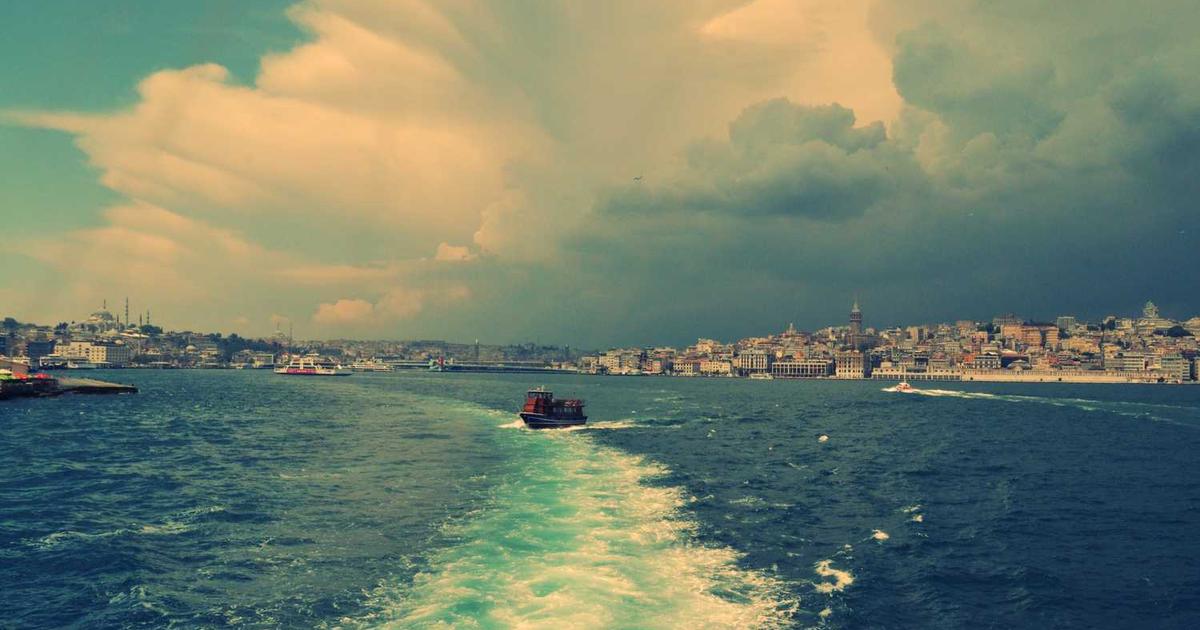 What is Plate IQ? - Company Overview & Details