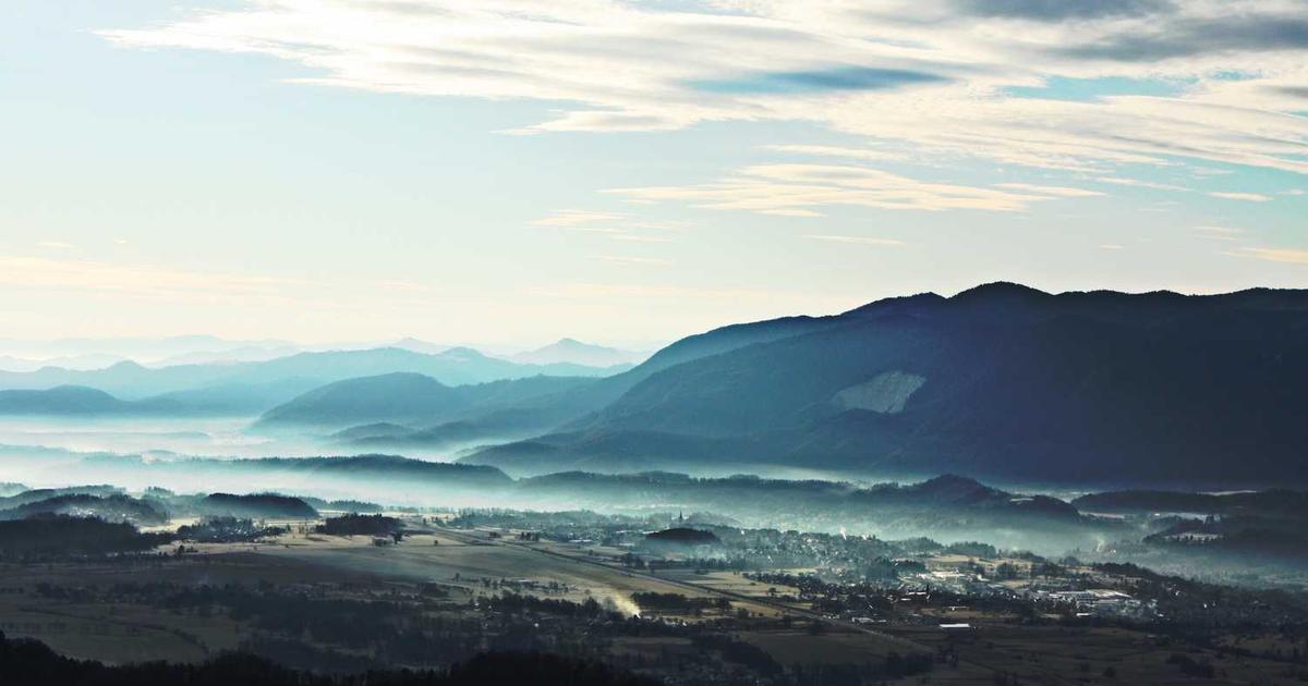 What is Prelay? - Company Overview & Details