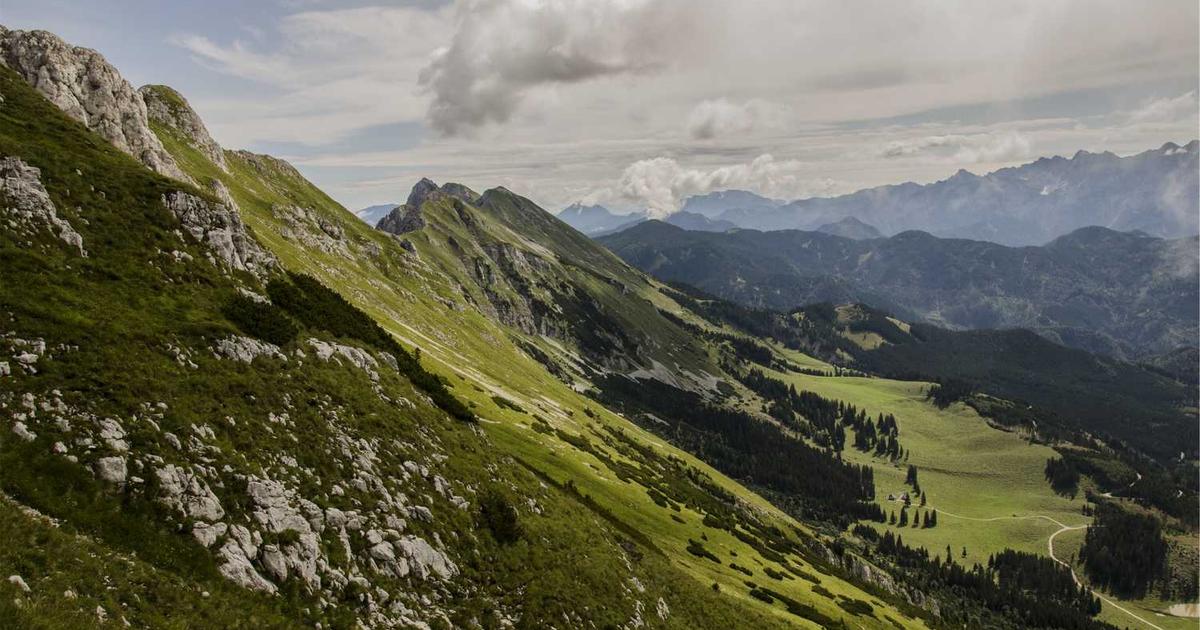 What is Pulley? Company Overview & Details