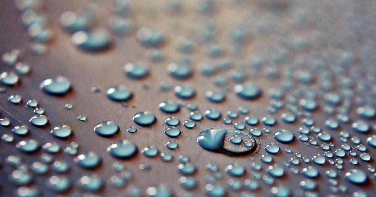 What is Pulse Active Stations Network? - Company Overview & Details