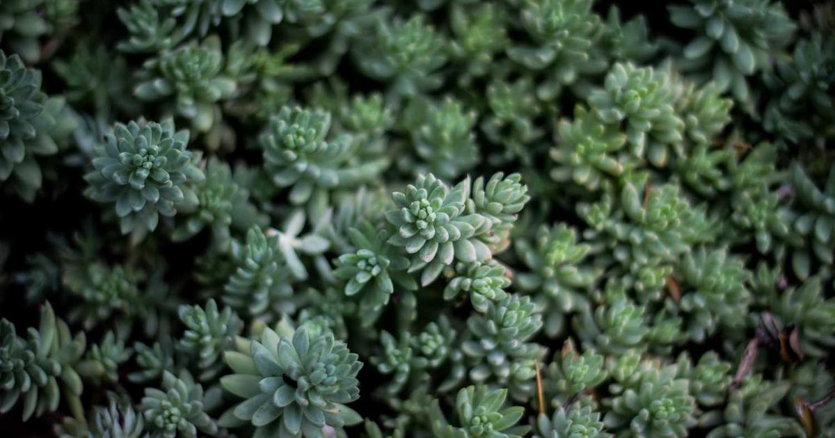 What is Quilt Data? Company Overview & Key Insights