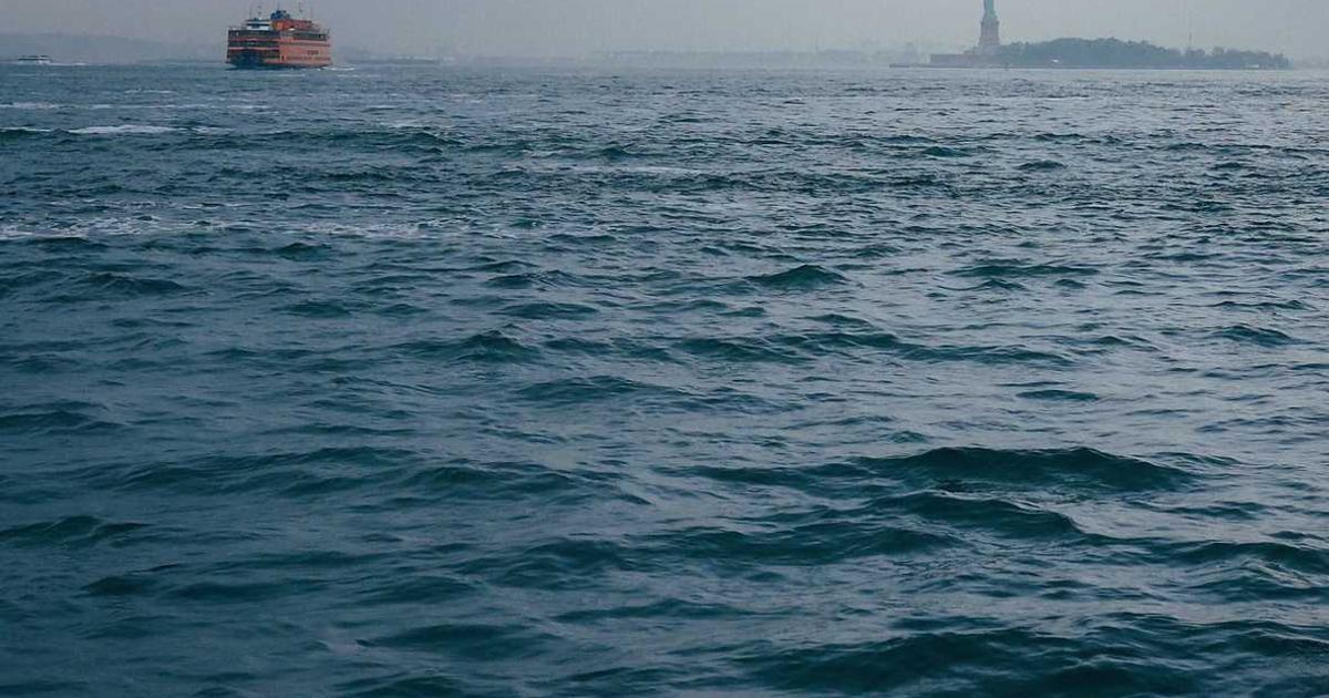 What is Reach Labs? - Company Overview & Details