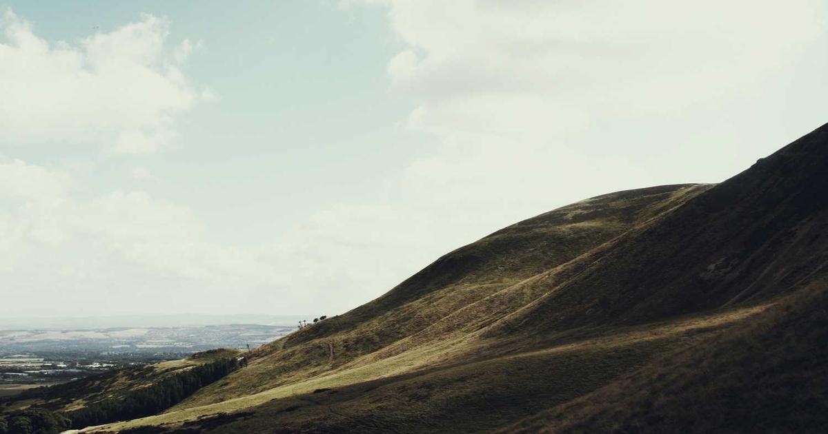 What is Ready? - Company Overview & Details