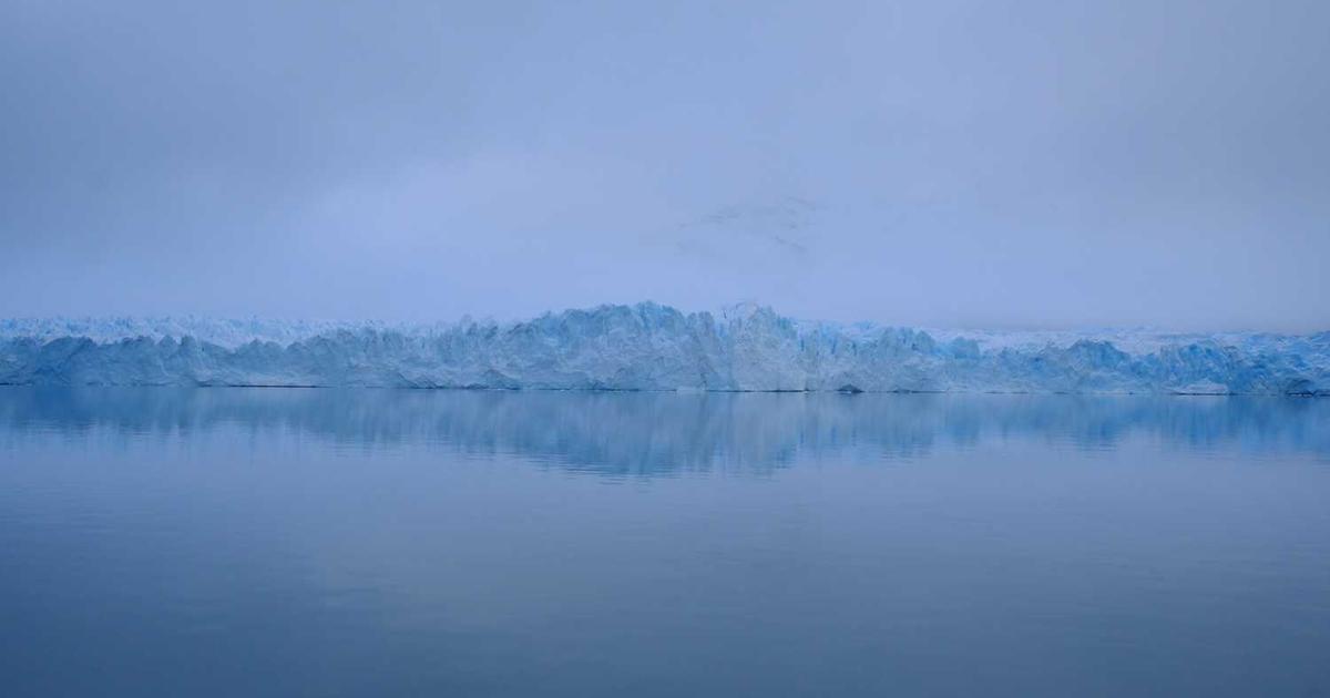 What is Reflect? - Company Overview & Details