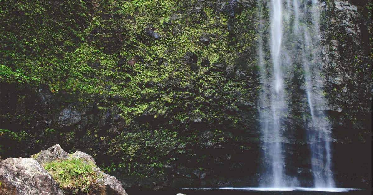 What is Remora? - Company Overview & Details