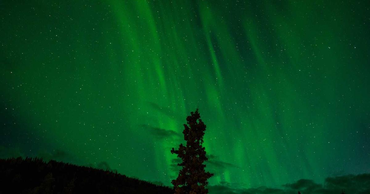 What is Rex? - Company Overview & Details