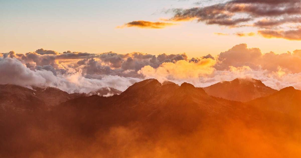 What is Rinsed? - Company Overview & Details