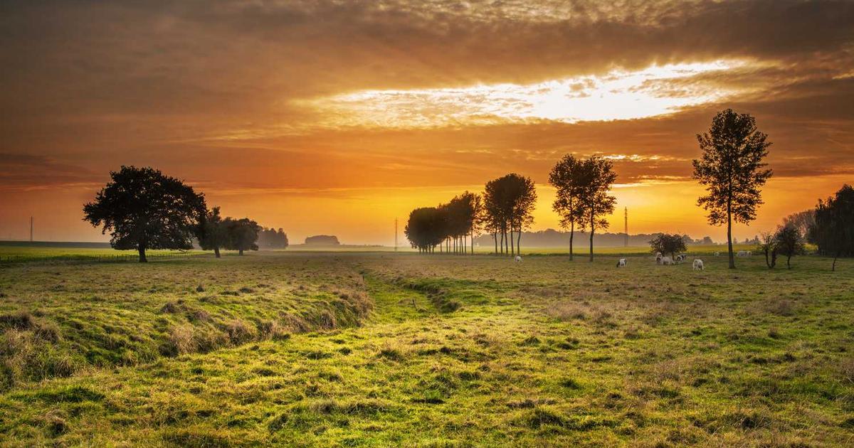 What is Safely Finance? - Company Overview & Details