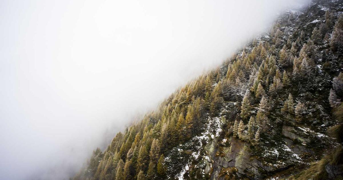 What is Sakneen? - Company Overview & Details