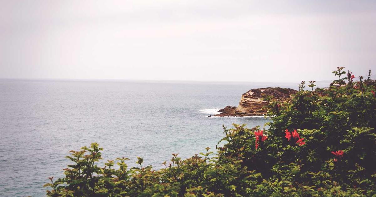 What is Scrimba? - Company Overview & Details