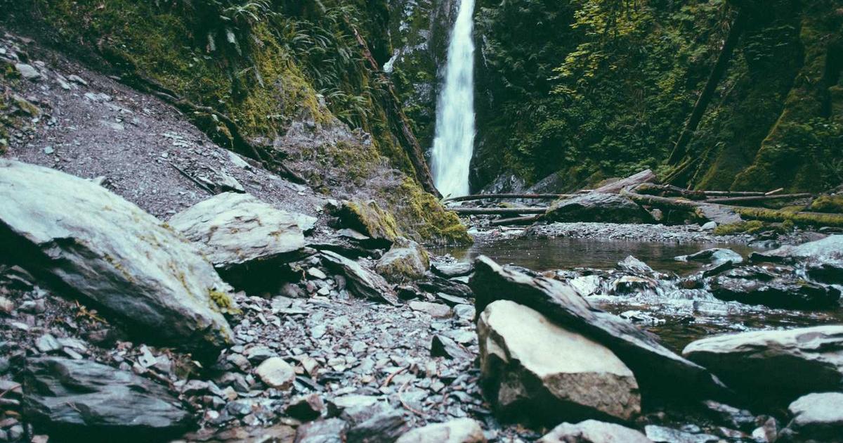 What is Shout? - Company Overview & Details