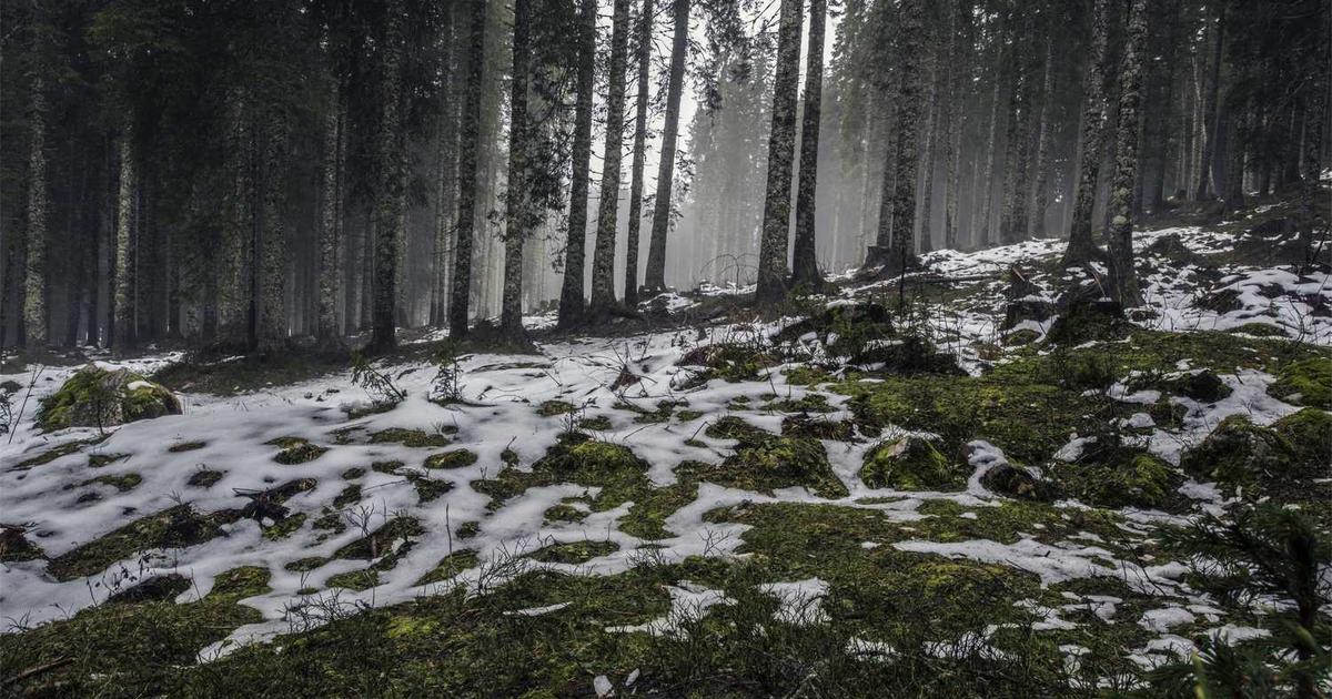 What is SiPhox Health? - Company Overview & Details