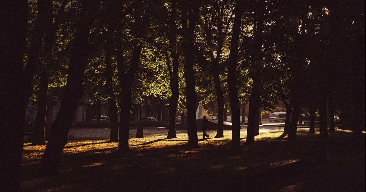 What is Skylights Unlimited? - Company Overview & Details