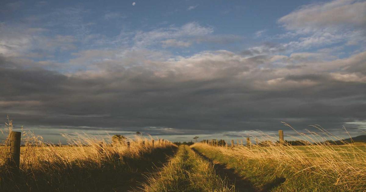 What is SmartSite? - Company Overview & Details