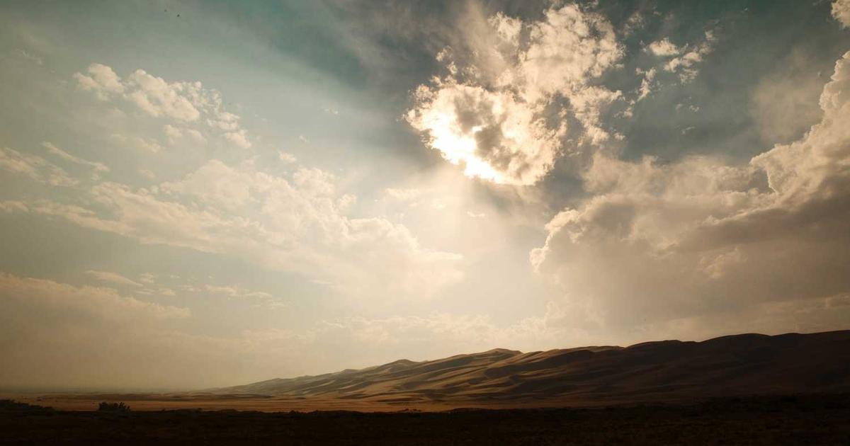 What is SpeedyBrand? - Company Overview & Details