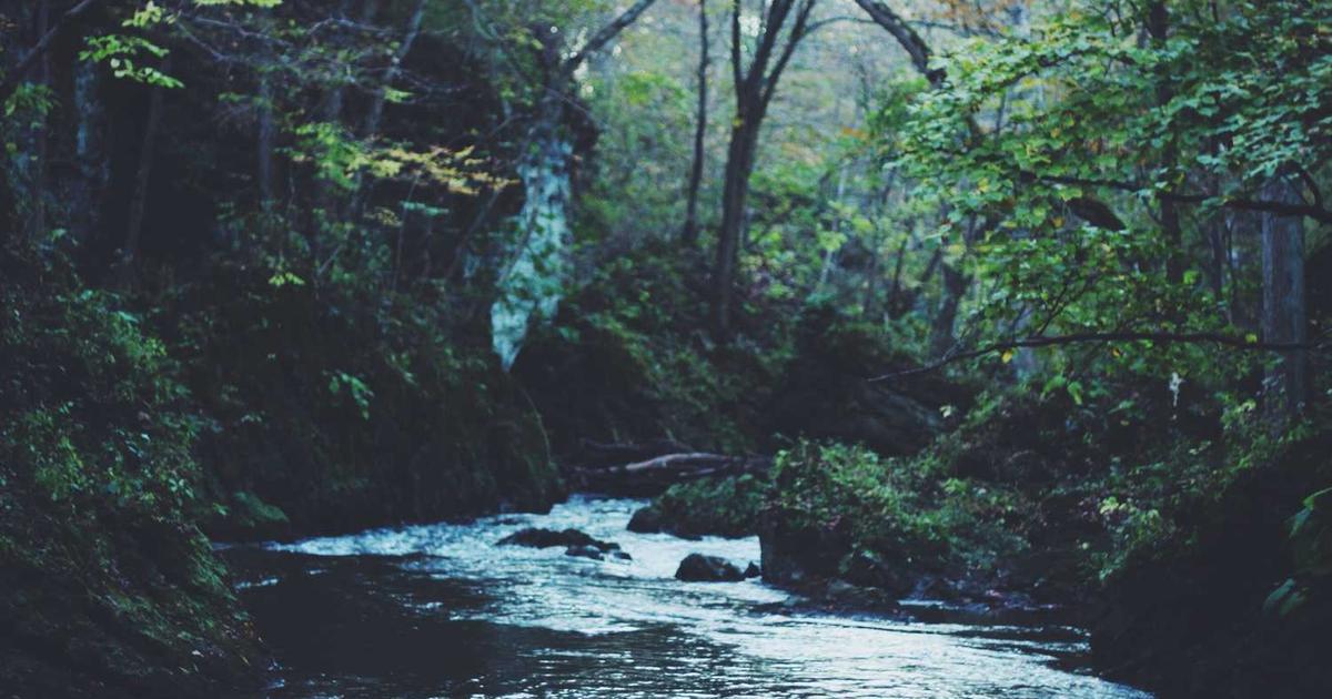 What is Stable? - Company Overview & Details