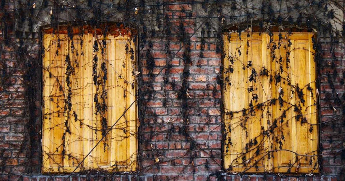 What is Stacker? - Company Overview & Details