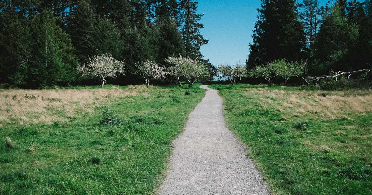 What is Superside? - Company Overview & Details