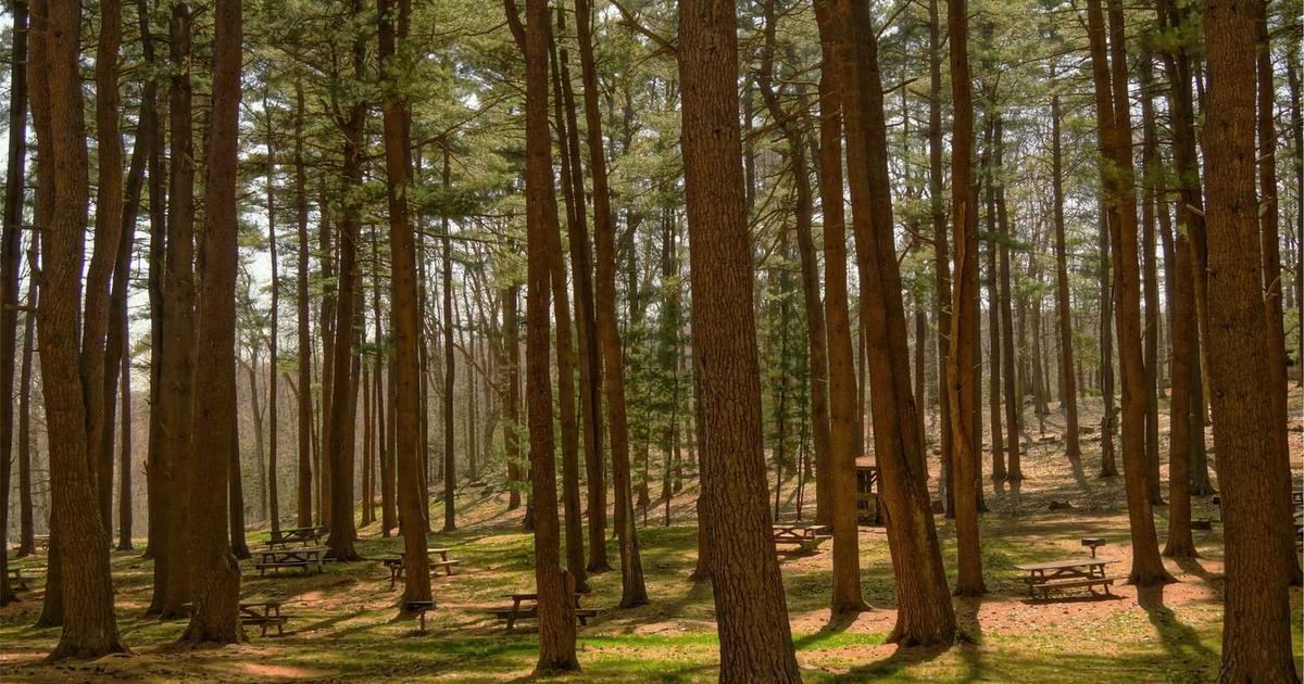 What is SuperTeam? - Company Overview & Details